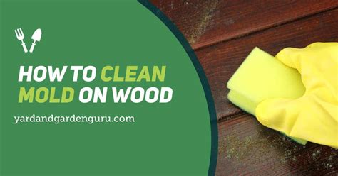 Best Solar Lights For Garden Shed - The Best Solar Lamps to Illuminate Your Driveway and Walkway