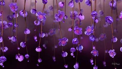 Purple Flower Flowers Background Wallpapers Jooinn Fresh