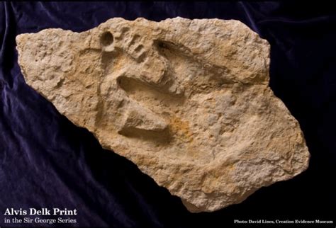 Fossil Footprints Genesis Park