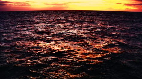 Download Wallpaper 2560x1440 Ocean Sunset Twilight Horizon