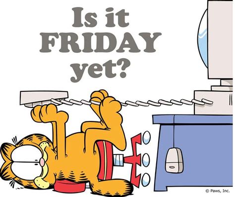 1000 Images About Garfield On Pinterest Jokes Pizza And Movie Times