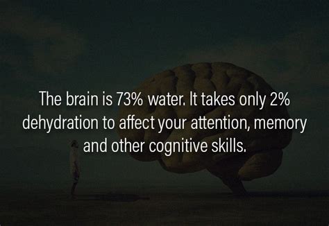 These Interesting Facts About Human Brain Will Blow Your Mind Away