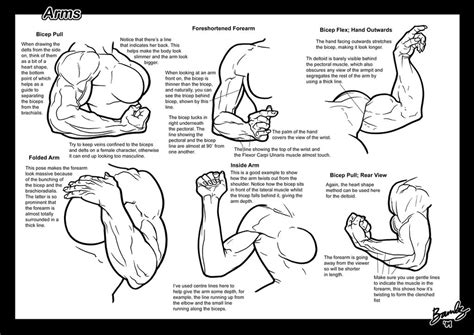 Tutorial Arms By Bambs On Deviantart