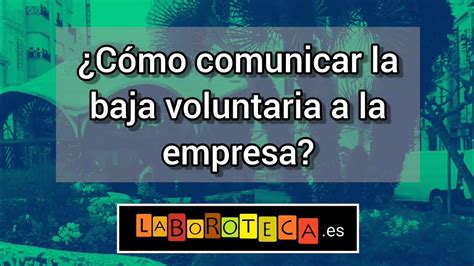 Solicitud De Baja Voluntaria En La Empresa Todo Lo Que Necesitas Saber Viltis