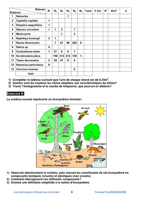 Sortie Cologique Svt Exercices Corrig S Dyrassa