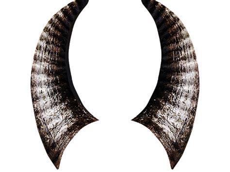 Horn Png Image Png All Png All