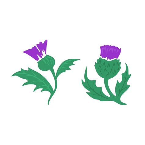 Thistle Clipart Free Download On Clipartmag