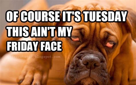 √ Tuesday Morning Meme Funny