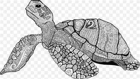 Sea Turtle Drawing Line Art Turtle Shell Png 2238x1276px Turtle