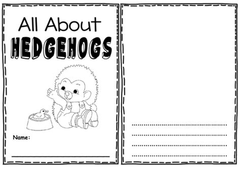 The Hodgeheg Story Teaching Resources Eyfs Ks1 2 Hedgehog Road Safety