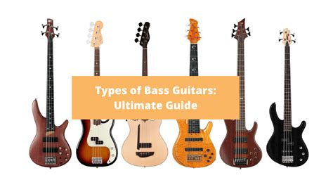 Bass Guitar Types Differences Ph