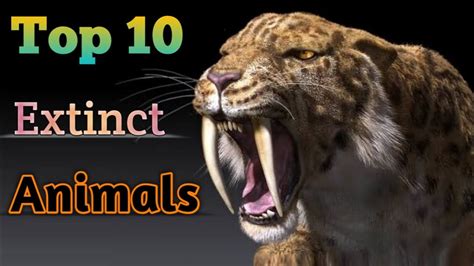 Top 10 Extinct Animals 2023 Youtube
