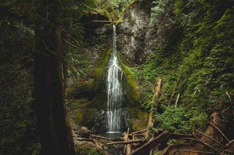 15 Best Hikes In Olympic National Park Washington