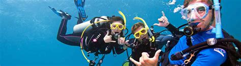 Get the right dive instructor job with company ratings & salaries. Current Dive Job Openings | Key Largo, Florida Keys