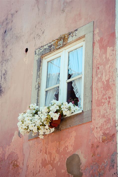 Pink Window Pictures Photos And Images For Facebook Tumblr