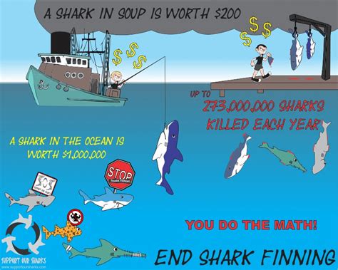 Stop Shark Finning Stop Sign