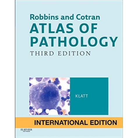 Robbins And Cotran Atlas Of Pathology International Edition 3ed By E