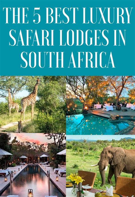 the 5 best luxury safari lodges in south africa artofit