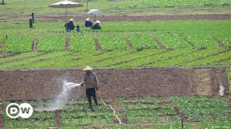 How Did The Development Of Irrigation Systems Improve Living Conditions