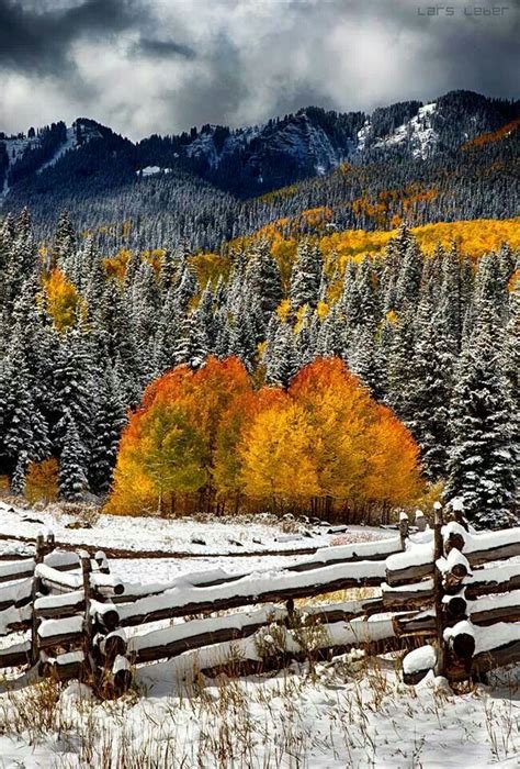 Autumn In Colorado Autumn Scenery Beautiful Landscapes Nature