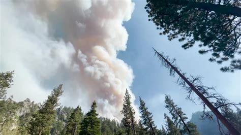 Tamarack Fire In Northern California Grows To Over 65000 Acres