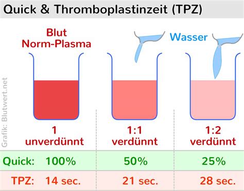 Der test muss von einem arzt auf der dienststelle oder in einem krankenhaus durchgeführt werden. Quick-Wert einfach erklärt: was bedeutet er?