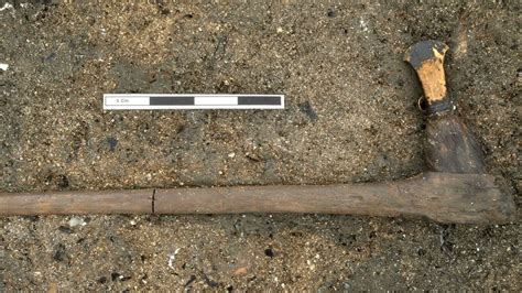 Must Farm Preserved Bronze Age Weapons Haul On Show At Flag Fen Bbc News