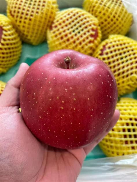 Top 10 Red Fuji Apples Store In The Philippines
