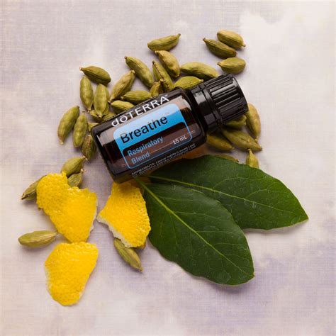 Doterra Breathe 15ml Crafters Mall