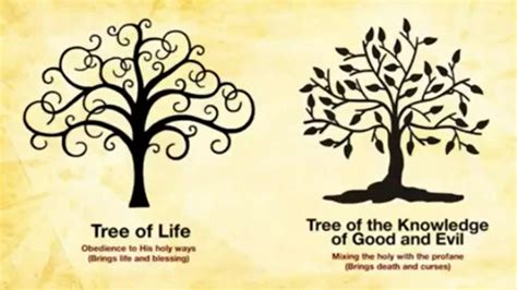 The Tree On The Left Trees Of Eternity Tree Of Life Meaning Tree Of