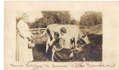 Women Holding Pail And On Stool Milking Dairy Cow Antique 1910s Photo