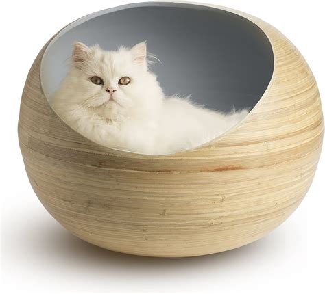 5 Best Cat Beds For Older Cats Who Love To Sleep
