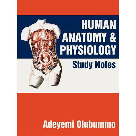 Human Anatomy And Physiology Study Notes Paperback
