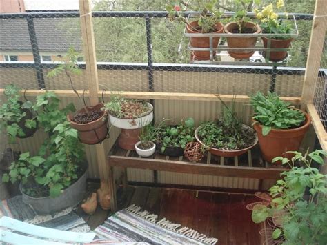 Cats are usually not allowed in the balcony because it is not a safe space for them in the default version. Cat-safe balcony | Cat proof balcony, Cat patio, Apartment pet