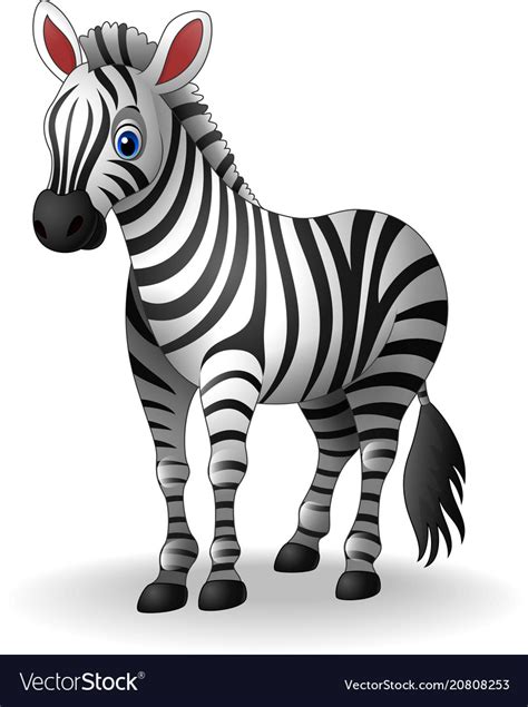 Cartoon Zebra Royalty Free Vector Image Vectorstock