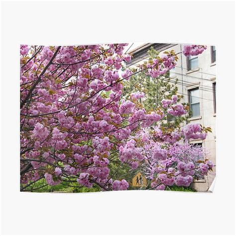 Jersey City New Jersey Spring Flowers Poster For Sale By Lenspiro