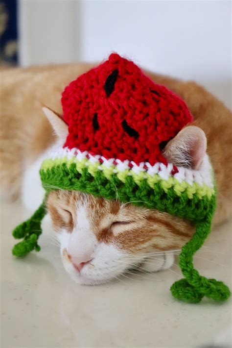 Watermelon Hat For Cats Crochet Watermelon Hat For Cats And Etsy