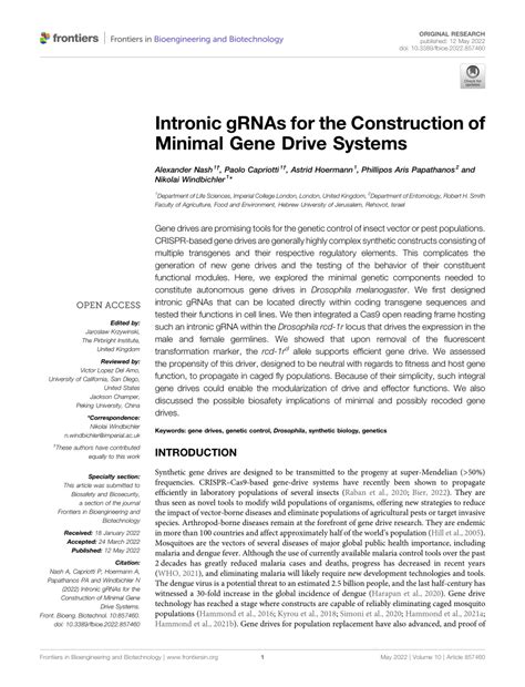 Pdf Intronic Grnas For The Construction Of Minimal Gene Drive Systems