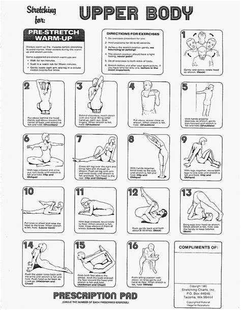 Exercises For Seniors Upper Body Exercises For Seniors Pictures