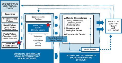 The Who Comission On The Social Determinants Of Health Who Csdh