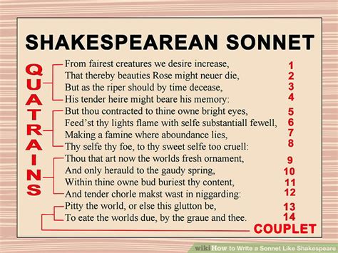 Sonnets Stanzas And Quatrains Miss Musings