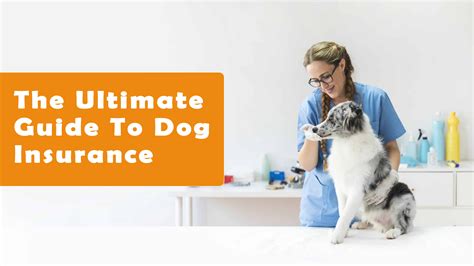 Check spelling or type a new query. The Ultimate Guide to Dog Insurance With Top 20 Companies, Ranked!