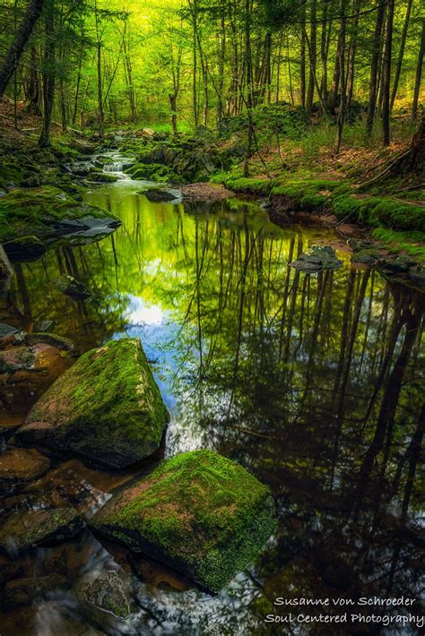Nature Photography Magical Woodland Scene Summer Creek Etsy Artofit