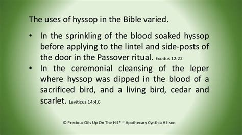 Apothecary Mama Teaching On Hyssop ~ A Plant Of The Bible