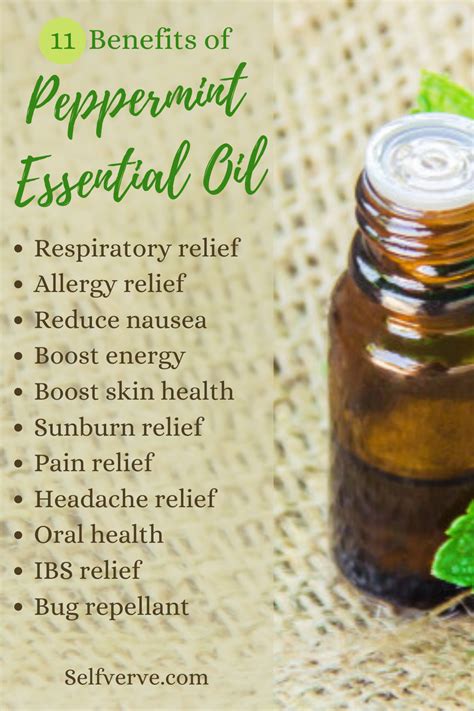 Benefits Of Peppermint Essential Oils Peppermint Essential Oil