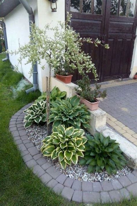 20 Lovely Low Maintenance Front Yard Landscaping Florida Ideas Sweetyhomee