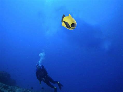 It Can Exactly Capture Incredible Beautiful Underwater Footage From