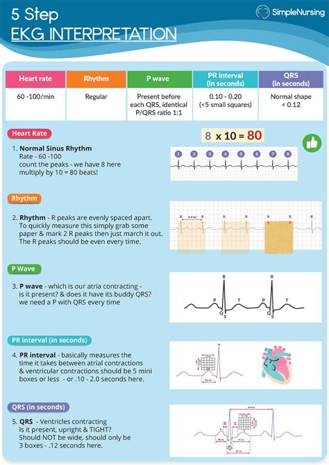 Exam 2 Simple Nursing 5 Step EKG INTERPRETATION Heart Rate Rhythm P