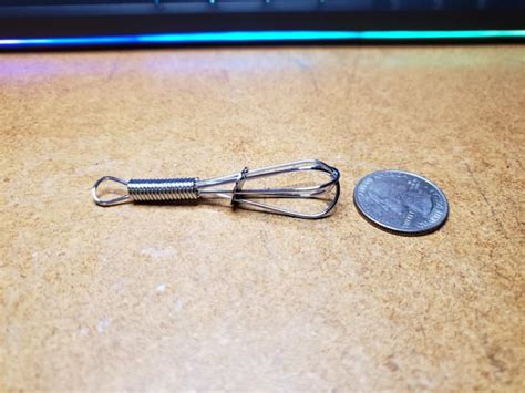 What Is This A Whisk For Ants Rforants