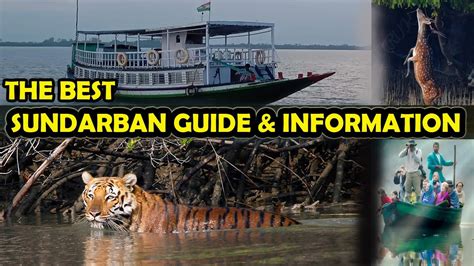 The Sundarbans Bangladesh What Is Best In Sundarban Information On